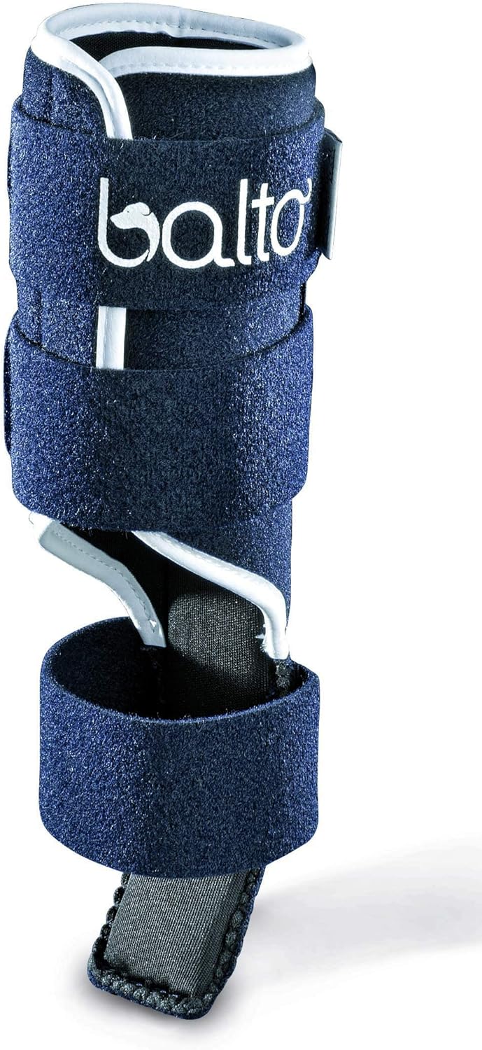 楽天市場】【anifull 公式】【レンタルサービスわんトライ便+